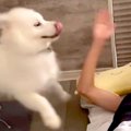 『弟が起きないから…