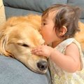 ワンコへの愛が溢れ…
