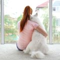 成犬でも『しつけ』…