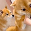 大好きな人が遊びに…