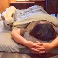 夜、寝転がっている…