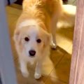 スーパーから帰宅→自…