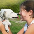 犬との『キス』に隠…