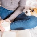 飼い主さんと離れた…