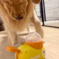『おやつが出るおも…