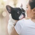 犬が初めて外に出た…