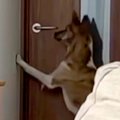 ドア前の向こう側に…