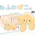 ふわふわぽこ。【第1…