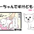 ちーちゃんですけど…