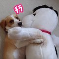 適度な距離を保ちた…