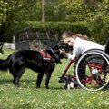 補助犬について　身…