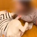 同じ大きさだった『…