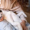 犬に好かれる飼い主…