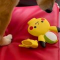 パキッと音がしたの…