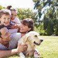 犬は家族のことをど…