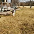 愛犬と楽しく泊まれ…