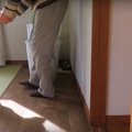 待ち遠しさとお行儀…