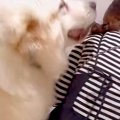 家に妹が遊びにきた…