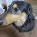 「嬉しくて、悲しく…