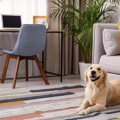 犬との生活に適して…