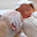 赤ちゃんが『生まれ…