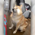 ありがたや〜と言わ…