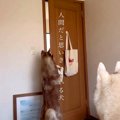 どんなドアでも開け…