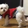 これ美味しいよ！堂…