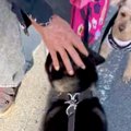 小さな頃から可愛が…