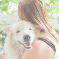 Laylaのわんちゃん占…