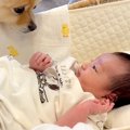 生まれたばかりの赤…