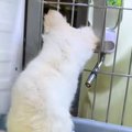『ちゃんと面倒みれ…