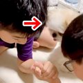 腕相撲をする2人の男…