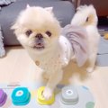 本当に喋ってるみた…