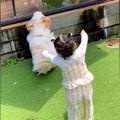 テラス席にいるパパ→…