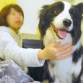 犬と『初めて朝まで…