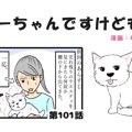 ちーちゃんですけど…