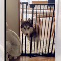 隠しカメラは見た！…