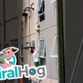 危機一髪！マンショ…
