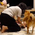 2歳の女の子をあやす…
