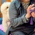 おばあちゃんのこと…
