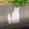 愛犬を亡くし、塞ぎ…