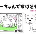 ちーちゃんですけど…