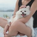 犬を飼って変わった…