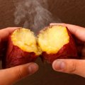 犬に焼き芋を与えて…