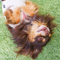 かわいすぎ♡つい構い…
