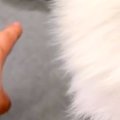 おしっこを失敗して…