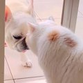 トイレのため、部屋…