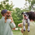 愛犬が『生活の中心…