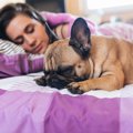 犬が飼い主の頭や首…